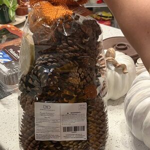 D&D Pinecone Decor with Orange Ribbon